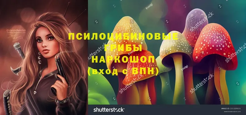 что такое   Жуковка  hydra ССЫЛКА  Псилоцибиновые грибы Psilocybe 